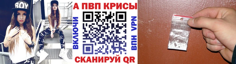 omg как зайти  Кемь  Альфа ПВП Соль 