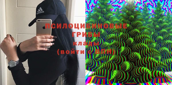 круглые Арсеньев