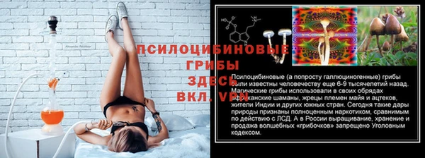 дурь Армянск